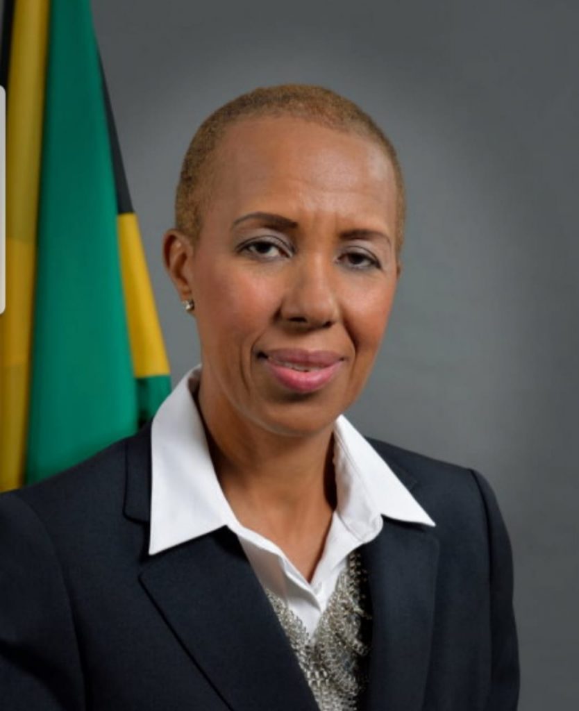 Minister Fayval Williams Official Photo