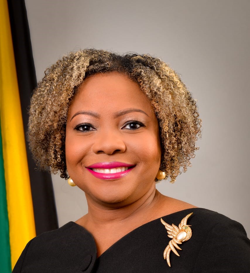 Senator The Honourable Dr. Dana Morris Dixon